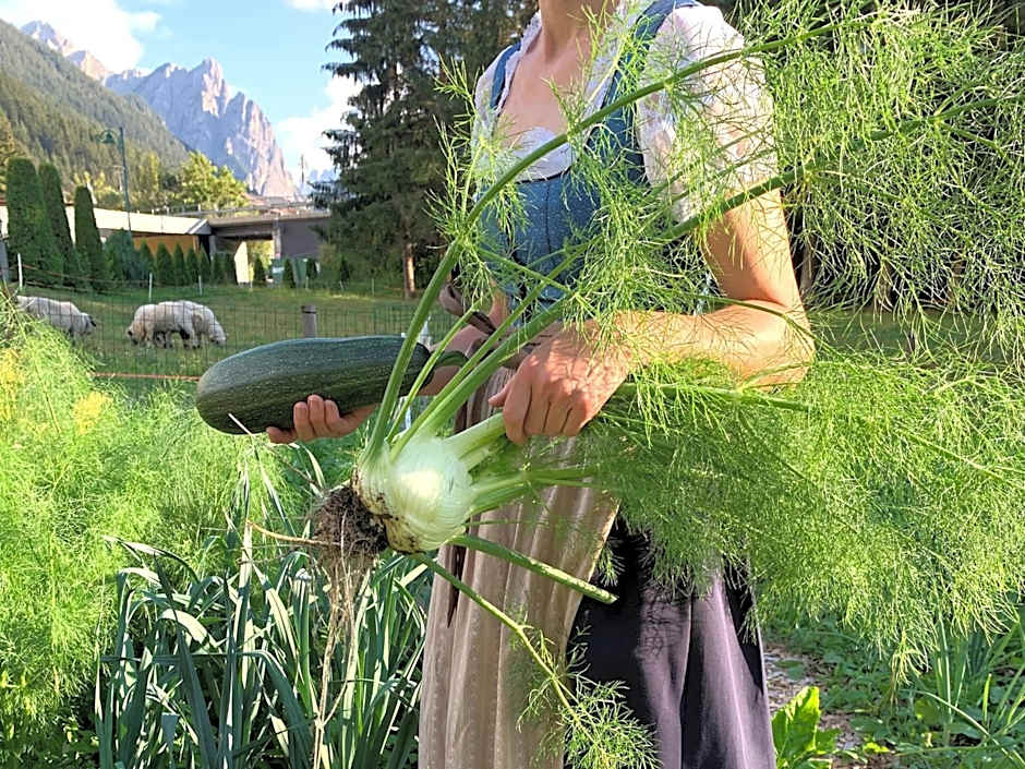 Apparthotel Germania