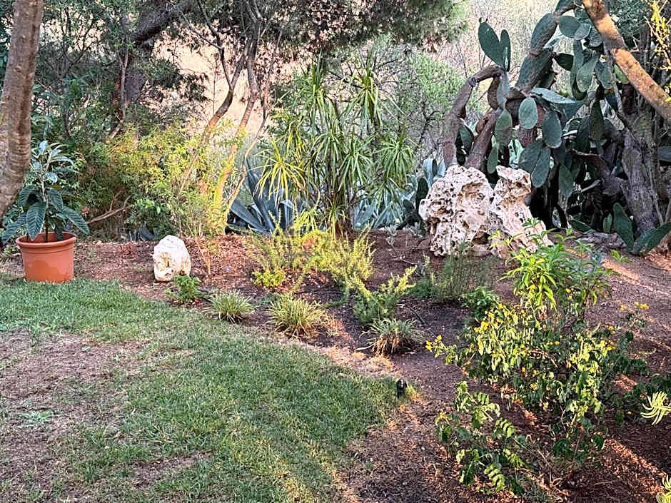 Villa DESIDERIA B&B