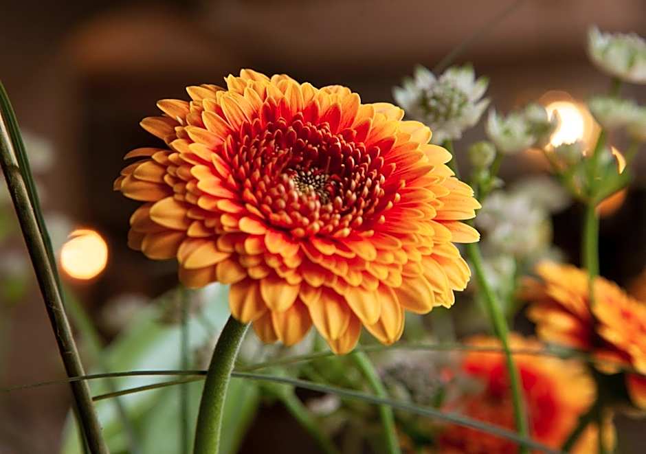 The Kings Arms Hotel