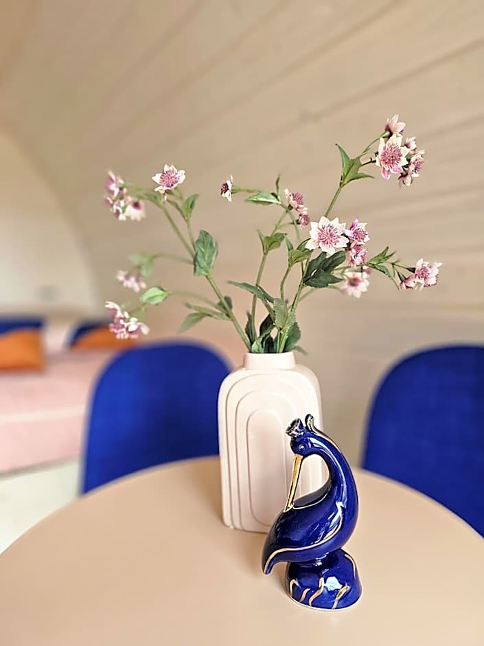 Tiny House De Skierroek