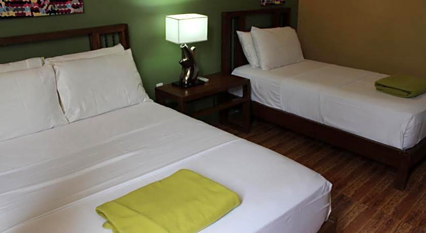 Purple Tree Bed and Breakfast