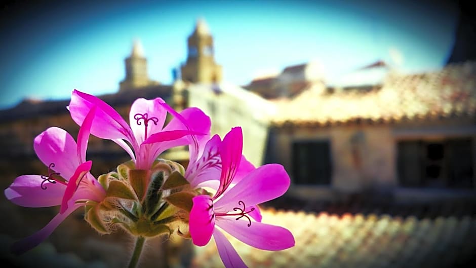 Bed and Breakfast L&P