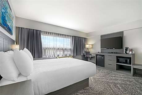 1 Queen Bed Non-Smoking