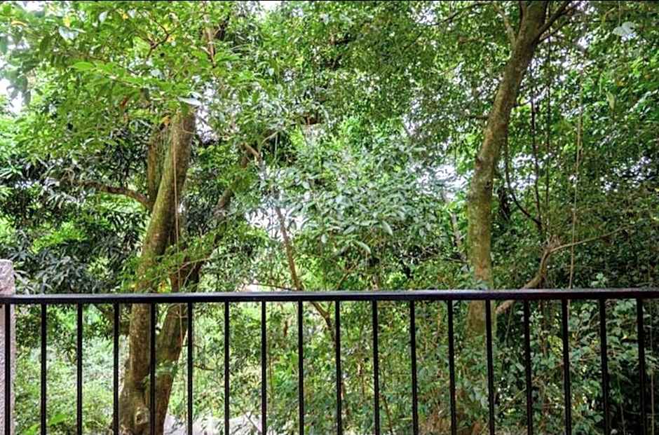 Santa Teresa Junto à Natureza