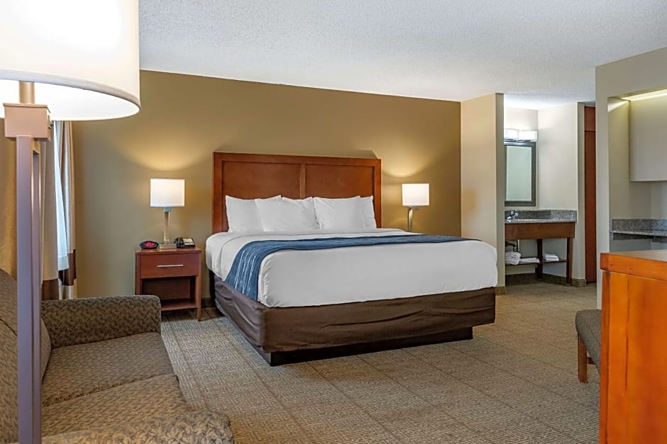 Comfort Inn & Suites Dimondale - Lansing