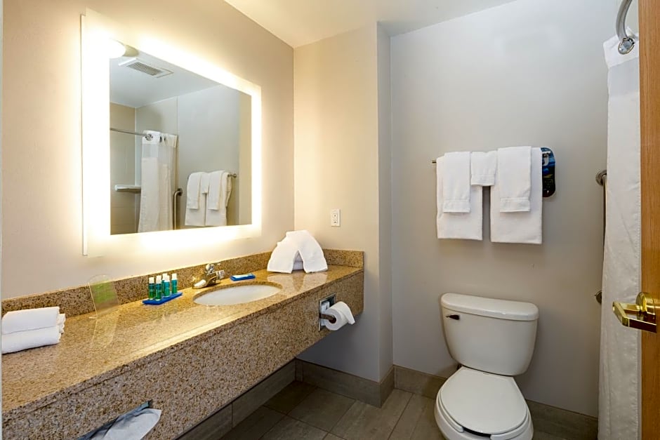 Holiday Inn Express Hotel & Suites Detroit-Utica by IHG