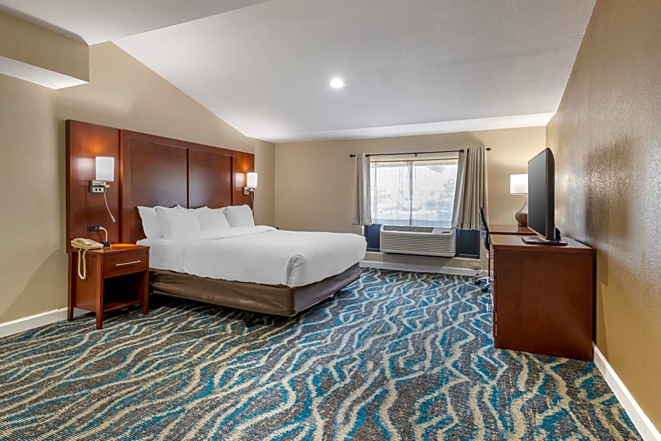 Comfort Inn Asheville-Tunnel Road East