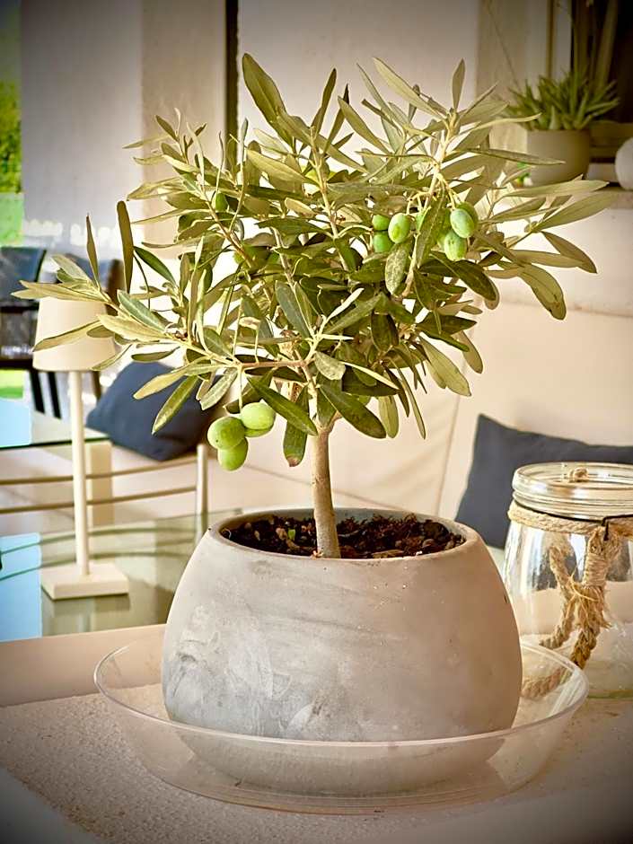 bbolbia - bed and breakfast