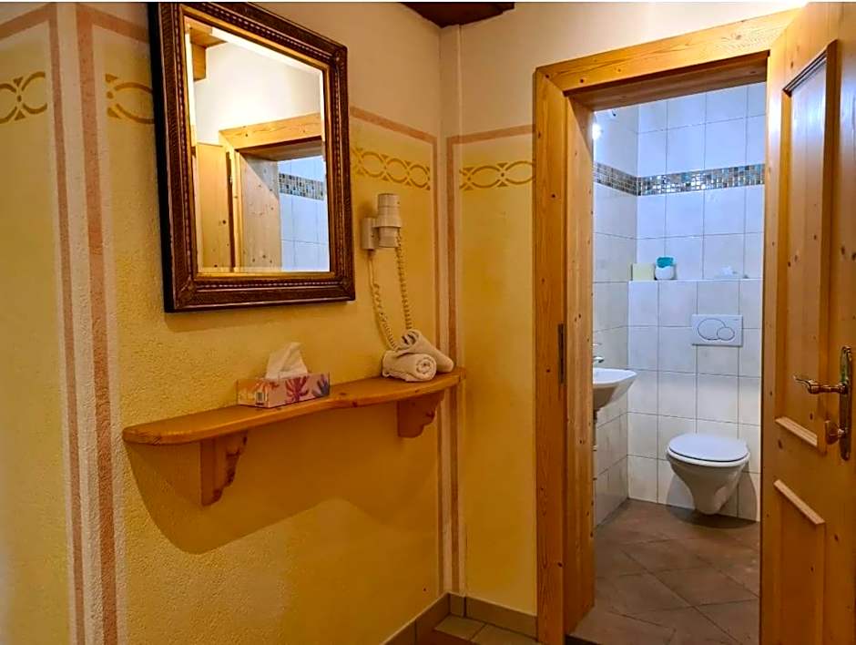 Hotel Alpenhof***