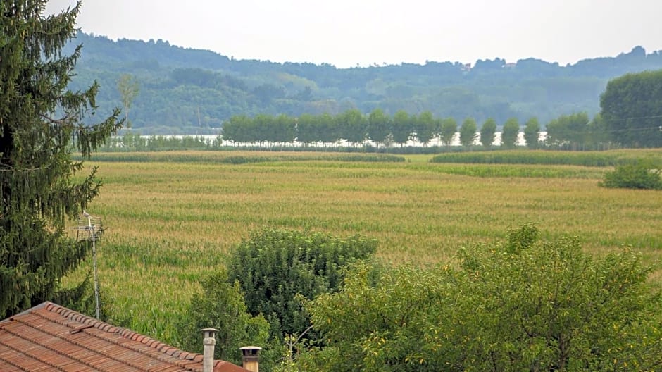 Spighe Paglia e Girasole