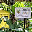Cabañas Ixaya