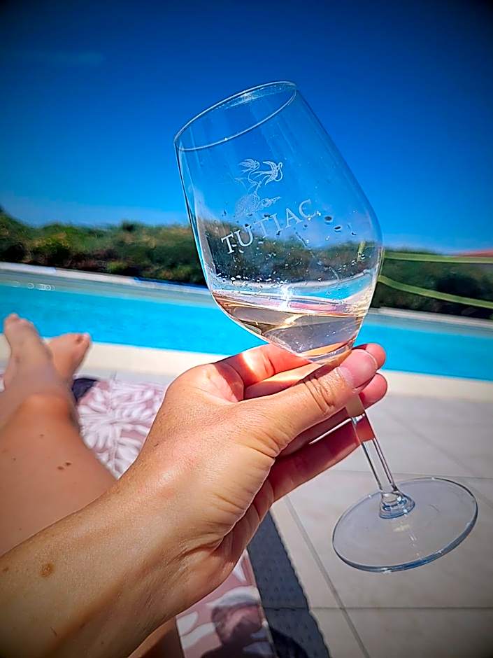 Chambre Vigne, piscine spa fitness