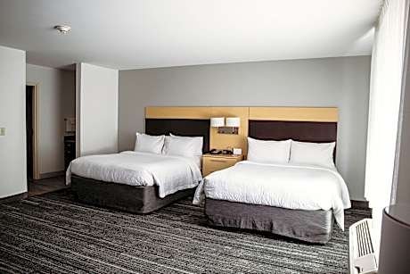 Studio, 2 Queen Beds