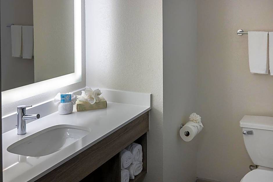 Holiday Inn Express and Suites Wichita Airport By IHG