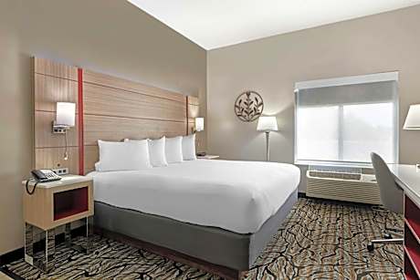 King Room with Walk-in Shower - Disability Access