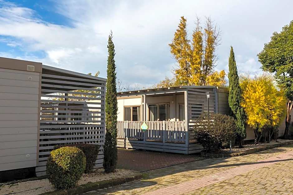 Roma Camping in Town