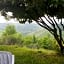 B&B Le Ginestre