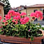 B&B "Il Cantastorie" Casa Molinari-Boldrini - Room & breakfast