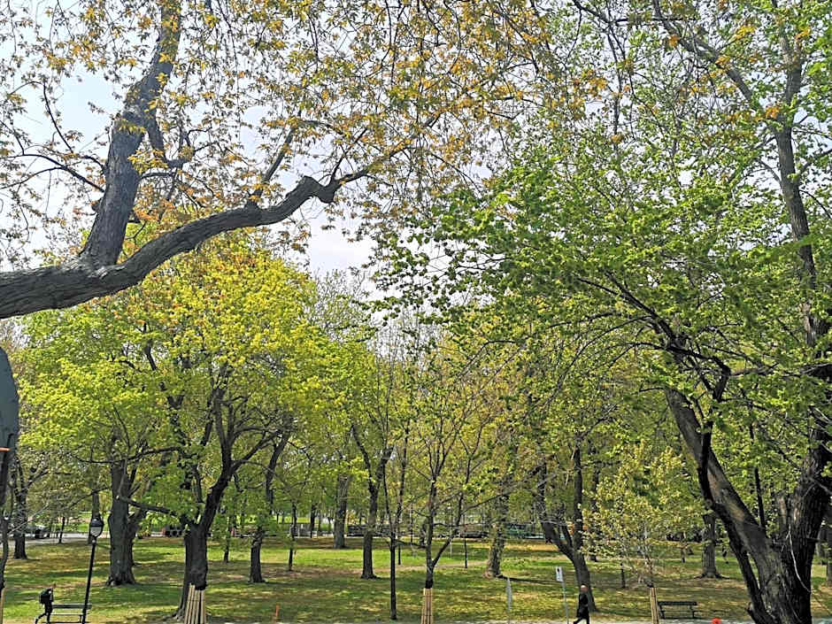 Accueil Chez Francois