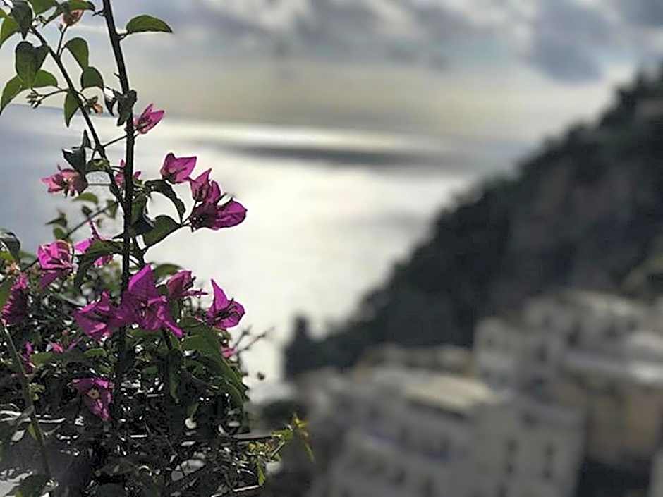 Positano Art Hotel Pasitea
