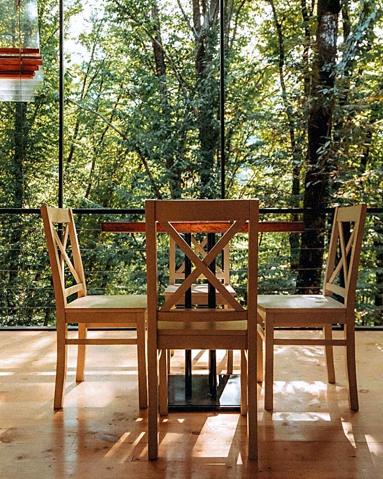 Eco Village In The Forest