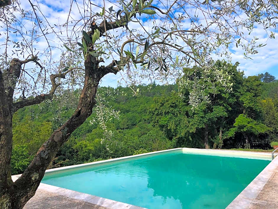 Podere Badia Valdrago Agriturismo Mugello Circuit