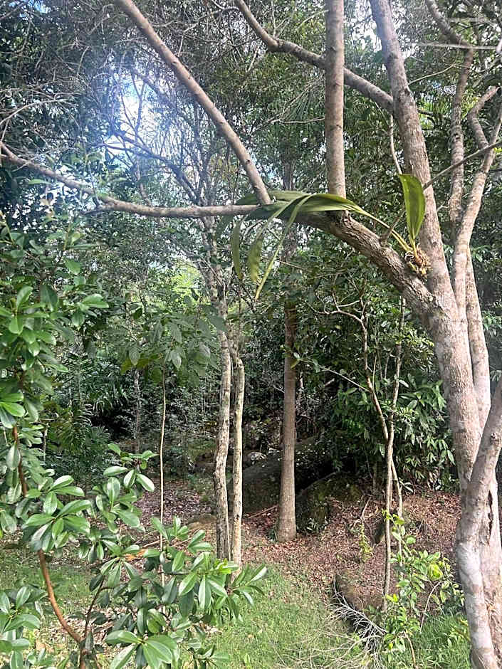 Vista incrível! Chalé com hidromassagem! FU01I