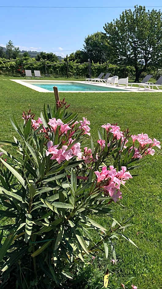 B&B CAMPAGNON VALPOLICELLA