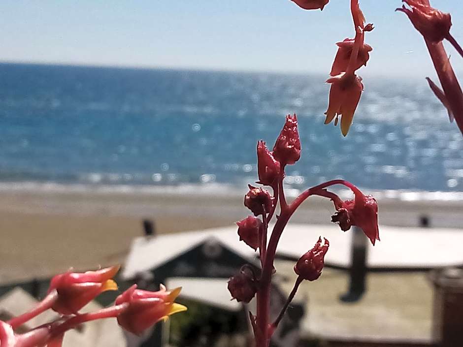Hotel Ausonia
