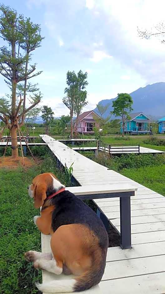 Ban Thung Talay Mok Chiangdao