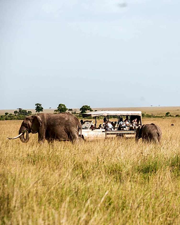 Exploreans Mara River Camp
