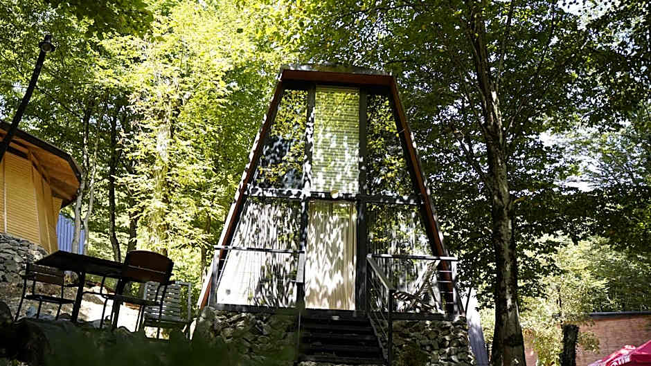 Eco Village In The Forest