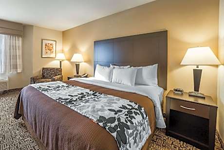 1 King Bed Nonsmoking Accessible