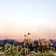 FAVAI HILLS your secret hideaway