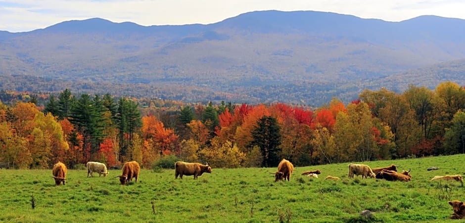 Trapp Family Lodge