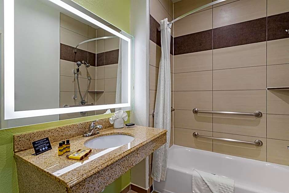 Best Western Plus North Houston Inn & Suites