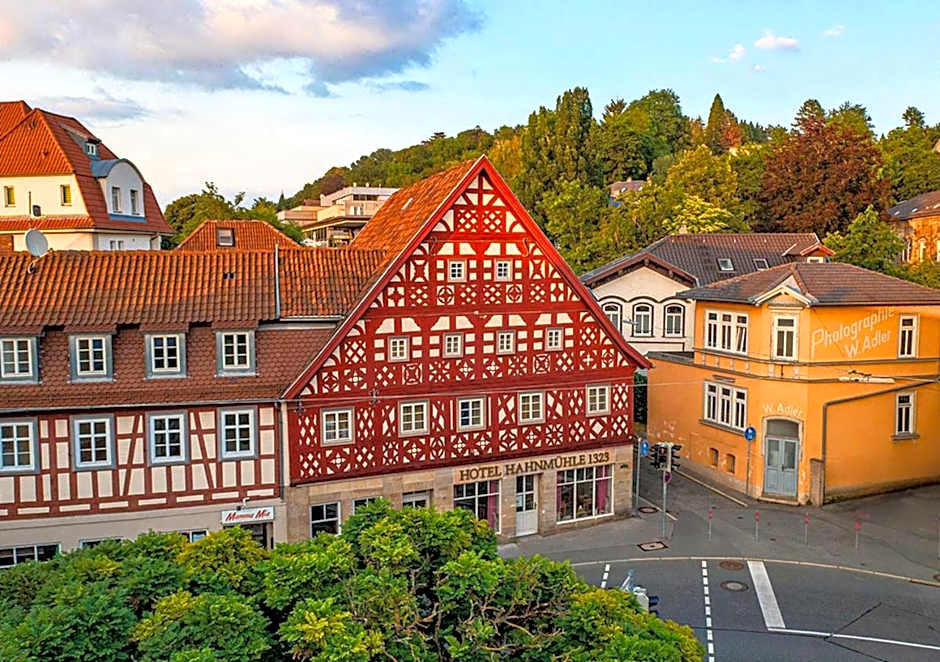 Hotel Hahnmühle 1323