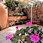 Villiana Holiday Apartments