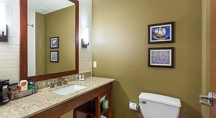 Comfort Inn & Suites Zachary