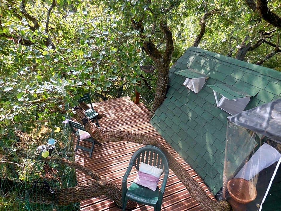 B&B La Cabane Insolite