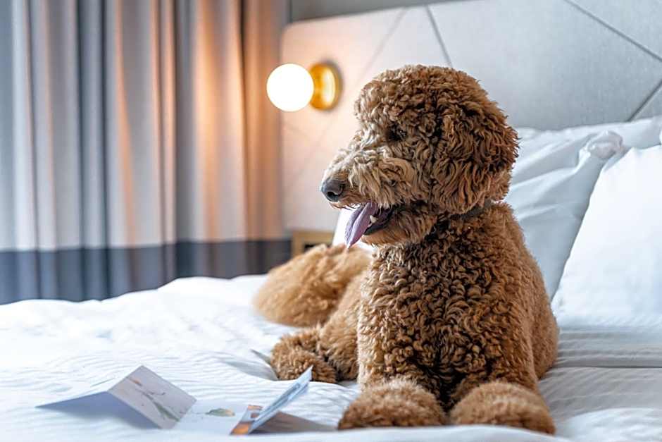 Residence Inn by Marriott Slough