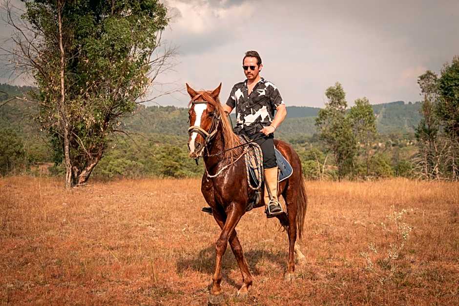 Rancho con Caballos El Reencuentro