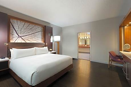 Concierge level, Guest room, 1 King