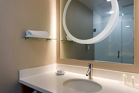 King Studio with Sofa Bed