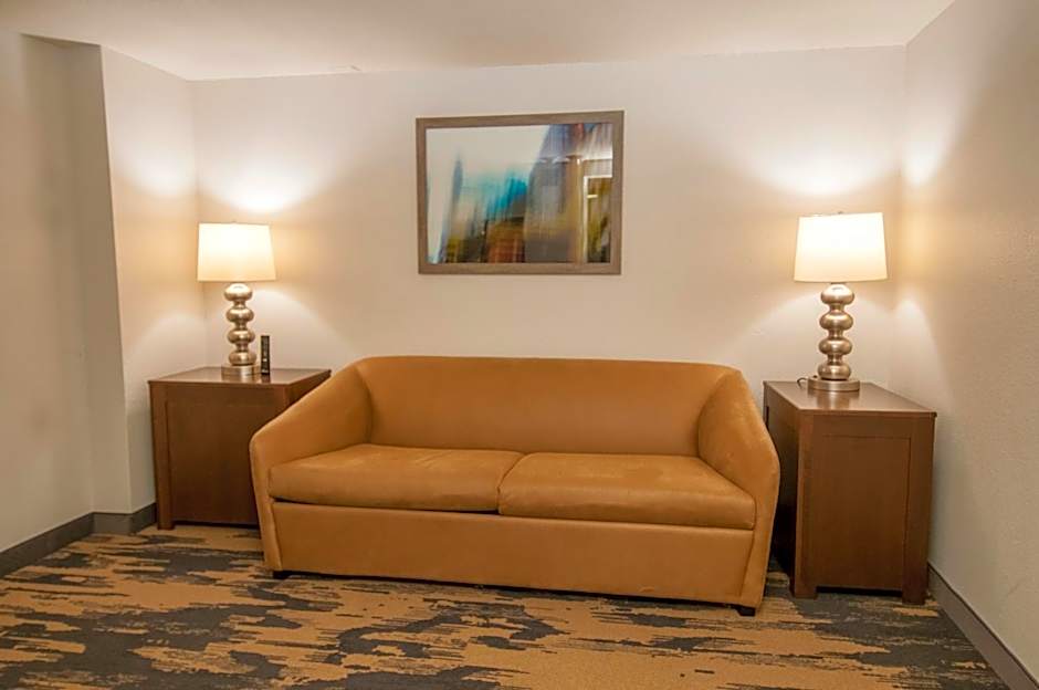 Fairfield Inn & Suites by Marriott Dallas Dfw Airport South/Irving