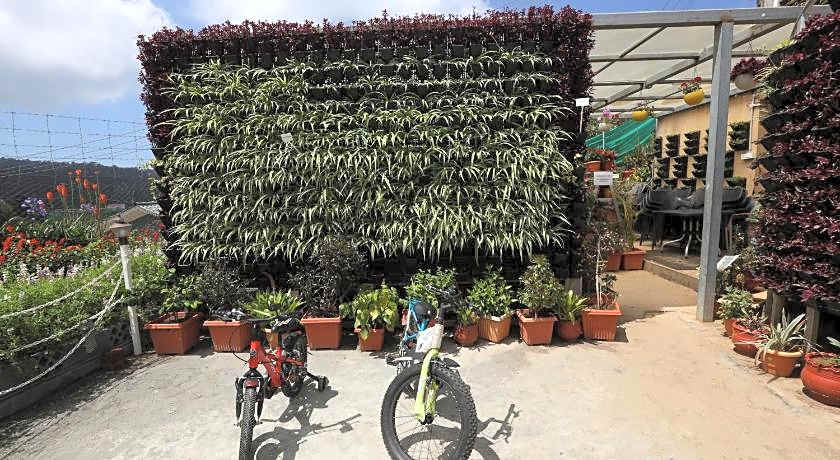 Delightz Inn Resorts