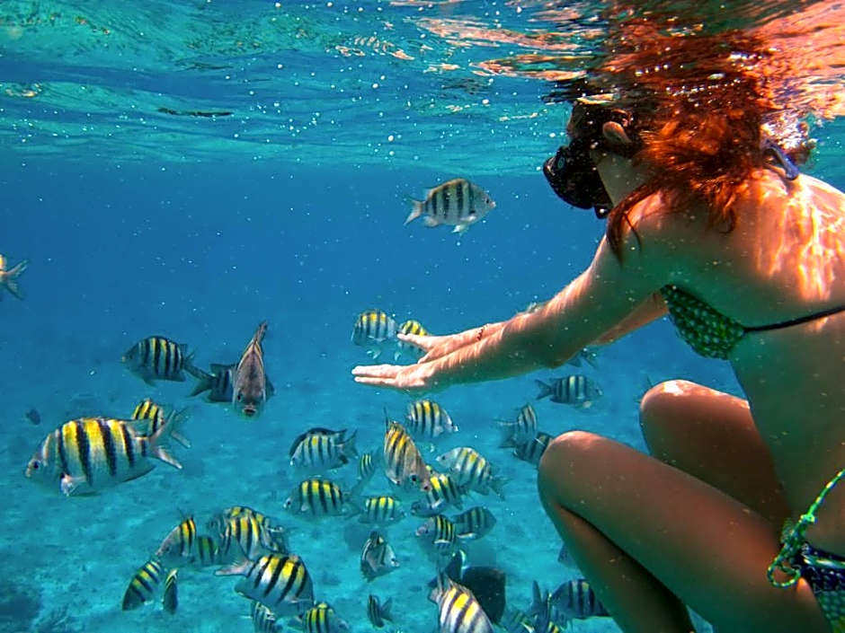 Photo 1 of 50 of Parrot Resort Moalboal