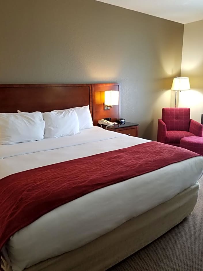 Comfort Inn & Suites Geneva- West Chicago