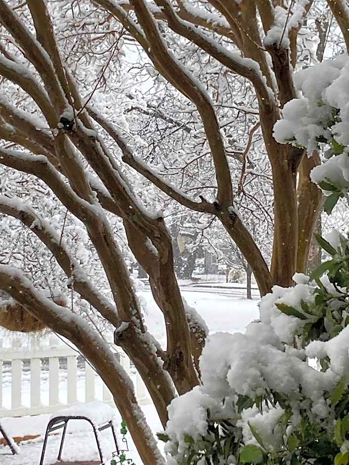 Granbury Gardens Bed and Breakfast