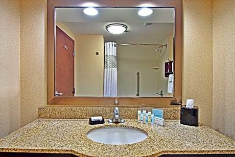 1 King Bed Nonsmoking